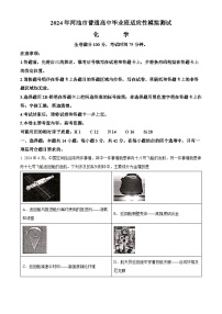 广西壮族自治区河池市普通高中2024届高三毕业班下学期模拟测试（二模）化学试题（解析版+原卷版）