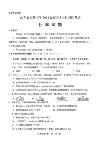 2024届山东省实验中学高三下学期5月针对性考试（二模）化学试题+答案