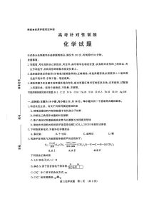 2024届山东省济南市高三针对性训练化学试题+参考答案（5月16日济南三模）