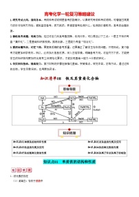 知识清单08  铁及其重要化合物-【知识清单】最新高考化学一轮复习知识讲义