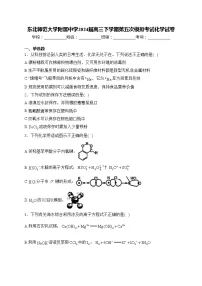 东北师范大学附属中学2024届高三下学期第五次模拟考试化学试卷(含答案)