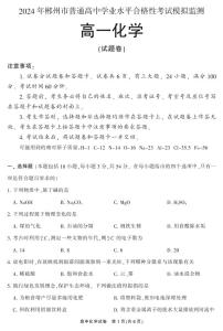 湖南省郴州市2023-2024学年高一下学期普通高中学业水平合格考试模拟监测化学试题