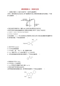 适用于新高考新教材广西专版2025届高考化学一轮总复习课时规范练32烃的衍生物