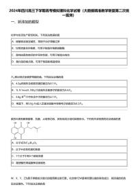 2024年四川高三下学期高考模拟理科化学试卷（大数据精准教学联盟第二次统一监测）