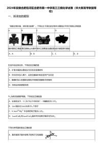 2024年安徽合肥包河区合肥市第一中学高三三模化学试卷（华大新高考联盟等校）