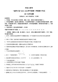 河南省驻马店市环际大联考2023-2024学年高二下学期期中考试化学试卷（Word版附解析）