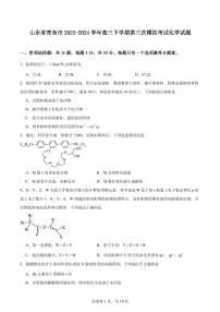 2024届青岛高三三模化学试题+答案