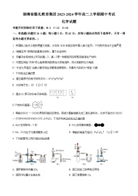 湖南省雅礼教育集团2023-2024学年高二下学期期中考试化学试题（原卷版+解析版）