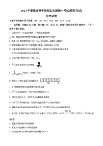2024届甘肃省民乐县第一中学高三下学期5月模拟考试化学试卷
