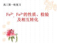 2024届高三化学一轮复习  亚铁离子和铁离子的转化  课件