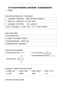 2024年山东济宁邹城市高三三模化学试卷（北大新世纪高级中学）