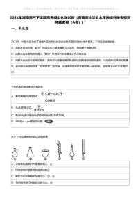 2024年湖南高三下学期高考模拟化学试卷（普通高中学业水平选择性琳考预测押题密卷（A卷））