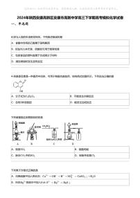 2024年陕西安康高新区安康市高新中学高三下学期高考模拟化学试卷