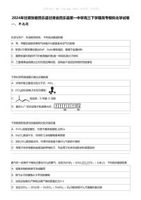 2024年甘肃张掖民乐县甘肃省民乐县第一中学高三下学期高考模拟化学试卷