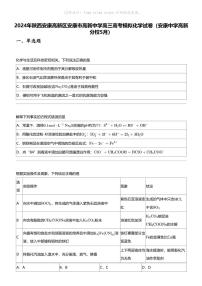 2024年陕西安康高新区安康市高新中学高三高考模拟化学试卷（安康中学高新分校5月）