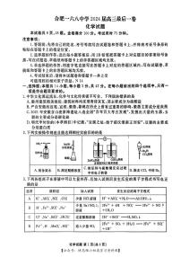 合肥一六八中学2024届高三最后一卷化学试卷及参考答案