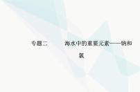 高中化学学业水平合格性考试复习专题二第二节氯及其化合物课件