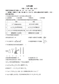 2024湖北省华中师范大学第一附中高三下学期5月适应性考试化学试题含答案