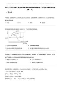 2023_2024学年广东东莞市麻涌镇嘉荣外国语学校高二下学期月考化学试卷（第二次）