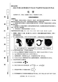 湖北省襄阳四中2024届高三下学期学业水平适应性考试（一模）化学试题