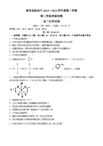 山东省青岛市第十五中学2023-2024学年高二下学期期中考试化学试卷