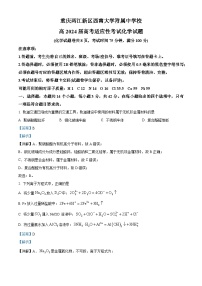 重庆市西南大学附属中学校2024届高三下学期高考适应性考试化学试题（学生版+教师版）