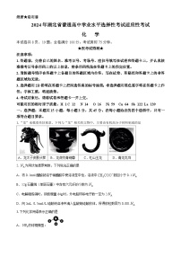 湖北省襄阳市第四中学2024届高三下学期一模化学试题（Word版附答案）