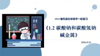 2024届高三化学一轮复习 1.2 碳酸钠和碳酸氢钠 碱金属 课件