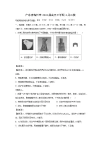 广东省梅州市2024届高三下学期4月二模化学试卷（解析版）