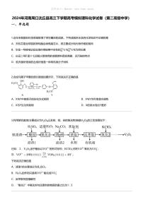 2024年河南周口沈丘县高三下学期高考模拟理科化学试卷（第二高级中学）