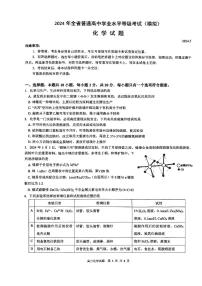 2024山东省实验中学高三下学期5月模考化学试题扫描版含答案
