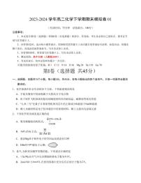 2024年高二下学期期末模拟考试化学试题（含答案）
