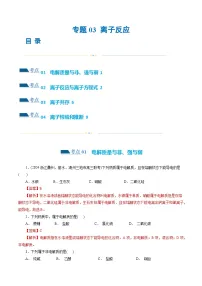 专题03 离子反应(练习)-2024年高考化学二轮复习讲练测（新教材新高考）