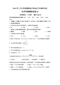 2024年1月江苏省普通高中化学学业水平合格性考试冲刺模拟试卷03（原卷版）