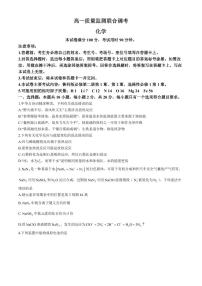 山东省联考2024年高一下学期5月月考化学试题+答案