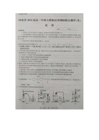 2024届河北省高三大数据应用调研联合测评化学试题