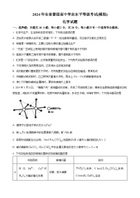 山东省实验中学2024届高三下学期学业水平等级考试（模拟）化学试题（Word版附解析）