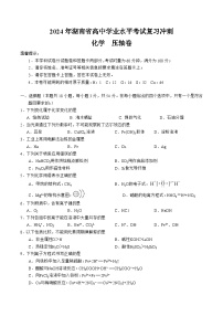 湖南省高中2023-2024学年高一下学期学业水平考试复习化学压轴卷（有答案）