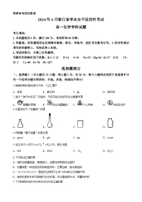 浙江省2023-2024学年高一下学期6月期末学考适应性考试化学试题