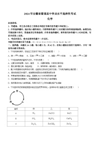 2024年新高考安徽化学高考真题（无答案）