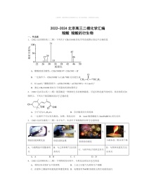 【生物】【化学】2022～2024北京高三二模化学试题分类汇编：羧酸羧酸的衍生物