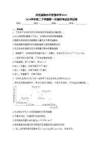 河北省衡水市枣强中学2023-2024学年高二下学期第一次调研考试化学试卷(含答案)