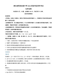 湖北省武昌实验中学2024届高三下学期高考适应性考试化学试题（Word版附解析）