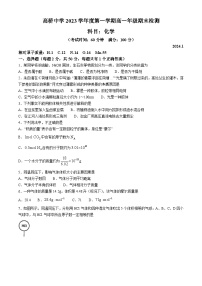 上海市高桥中学2023-2024学年高一上学期（等级）期末检测化学试题