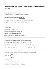 [化学]2023_2024化学年广东广州荔湾区广州市真光中学高二下学期期中化学试卷