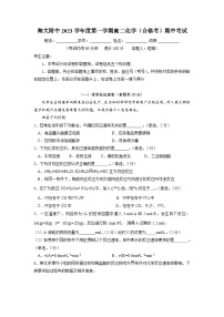 上海海事大学附属北蔡高级中学2023-2024学年高二上学期期中考试（合格）化学试卷