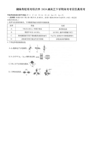 [化学]湖南名校联考联合体2024届高三下学期高考考前仿真联考试卷（图片版）