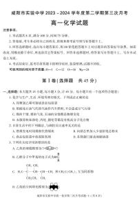 陕西省咸阳市实验中学2023-2024学年高一下学期第三次月考化学试题