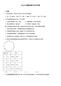 2024年安徽高考化学真题试卷（原卷版+含解析）