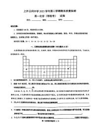 上海外国语大学附属外国语学校松江云间中学2023-2024学年 高一下学期期末质量检测化学（等级考）试卷